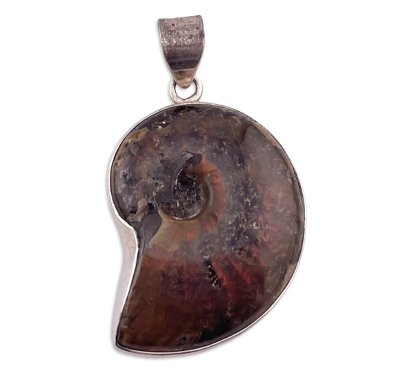 sterling silver ammonite shell pendant